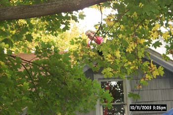 P0006811